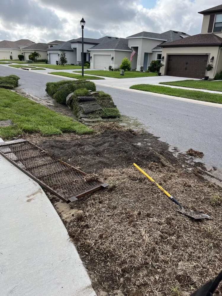 Top-rated landscape installation for residential properties across New Port Richey, FL - Daniele Landscape Design