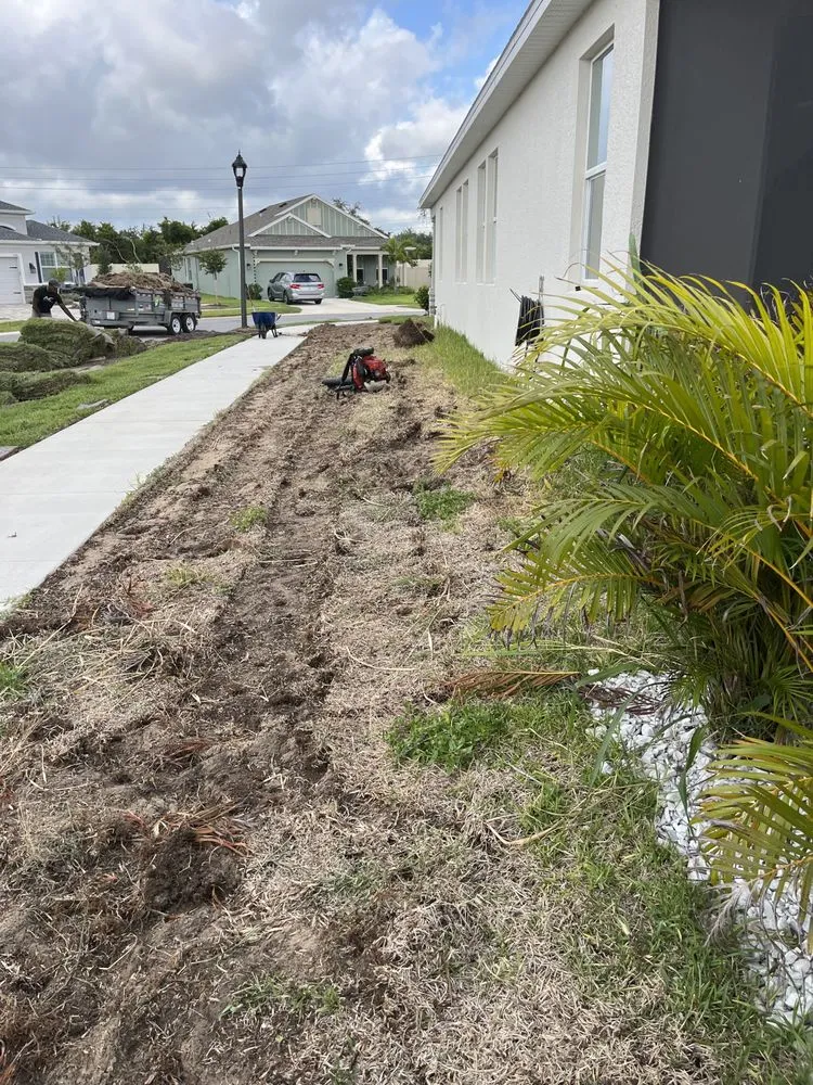 Custom lawn mowing service experts serving New Port Richey, FL - Daniele Landscape Design