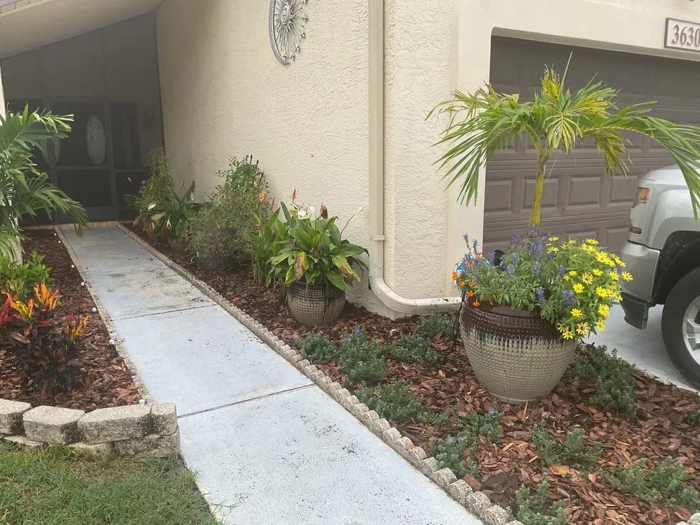 Trusted yard maintenance in New Port Richey, FL by Daniele Landscape Design