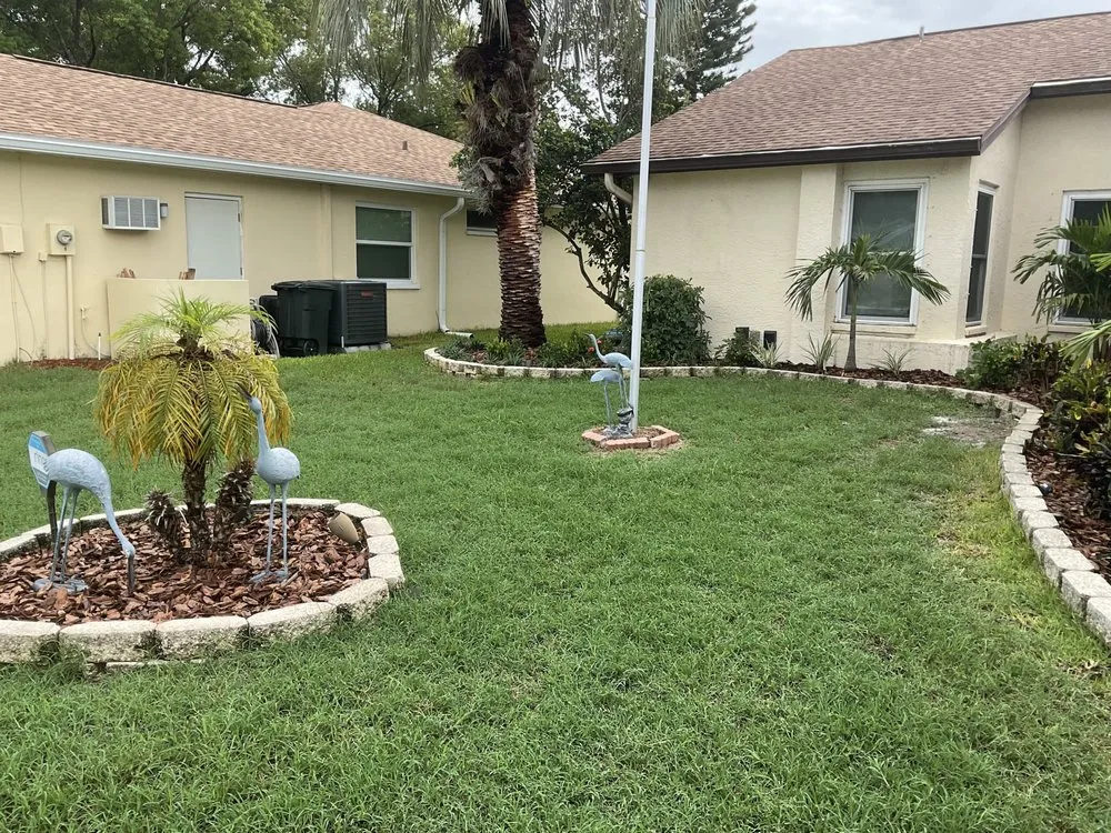Local yard maintenance in New Port Richey, FL - Daniele Landscape Design