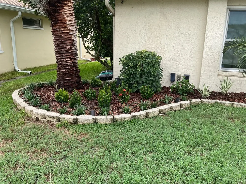 Affordable lawn mowing service in New Port Richey, FL by Daniele Landscape Design
