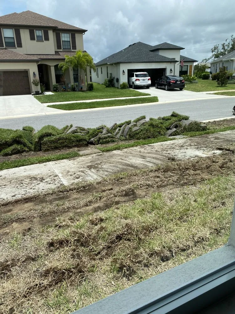 Reliable garden landscaping for homes across New Port Richey, FL - Daniele Landscape Design