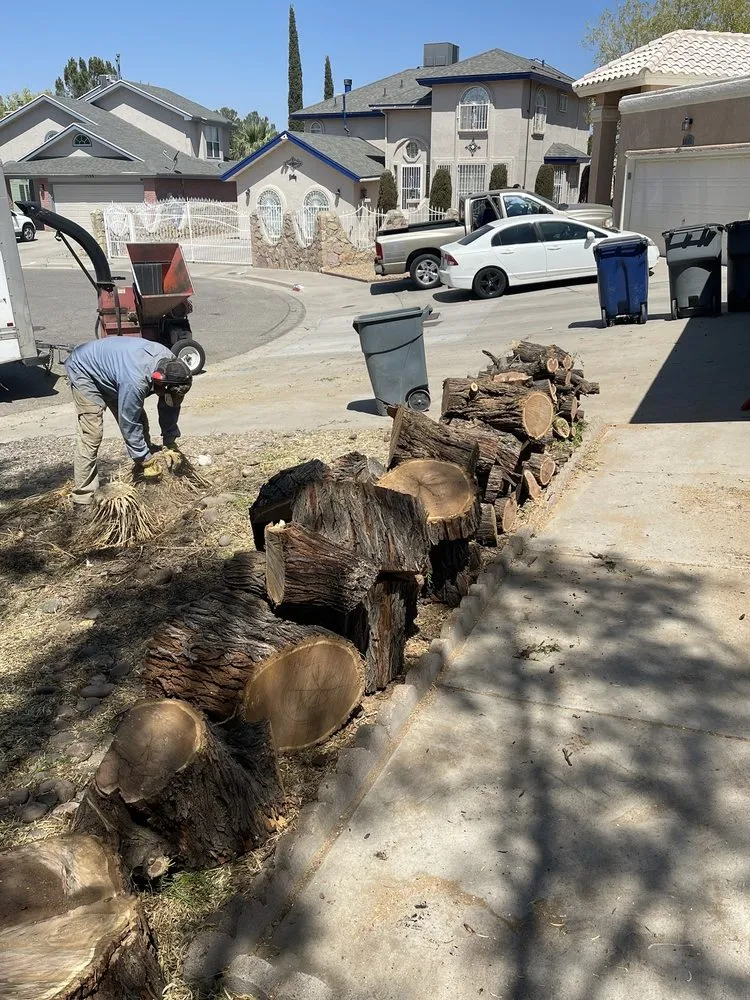 Professional landscaping services in El Paso, TX by Daniell's Tree & Lawn Service