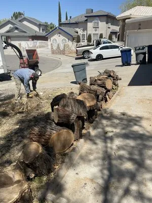 Daniell's Tree & Lawn Service Logo