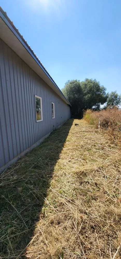 Professional yard cleanup service experts serving Pullman, WA - Daniel's Car Detail And transportation services