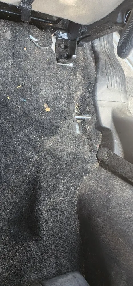 Custom yard maintenance for homes in Pullman, WA by Daniel's Car Detail And transportation services