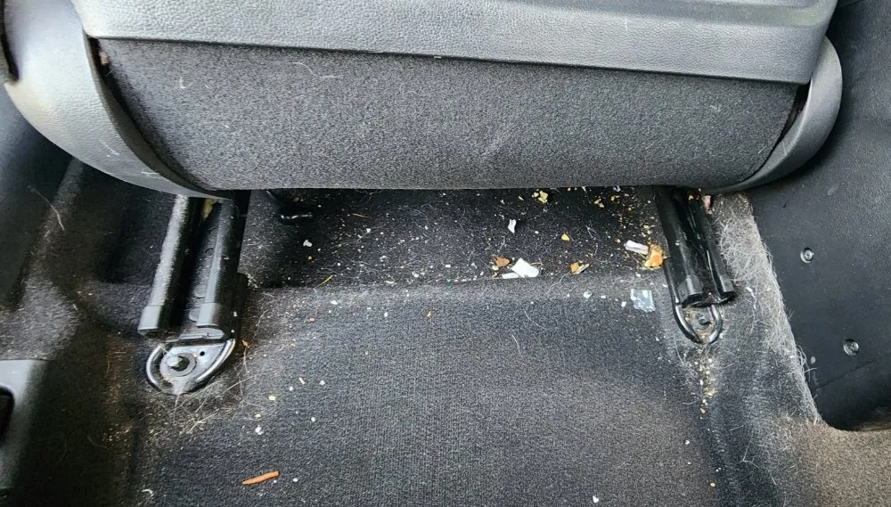 Professional landscape design for year-round maintenance in Pullman, WA by Daniel's Car Detail And transportation services