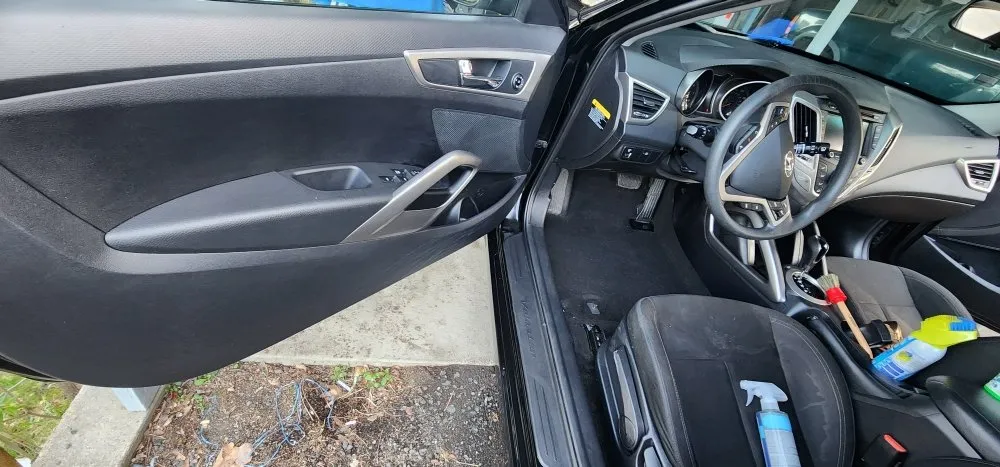 Affordable lawn care service in Pullman, WA - Daniel's Car Detail And transportation services