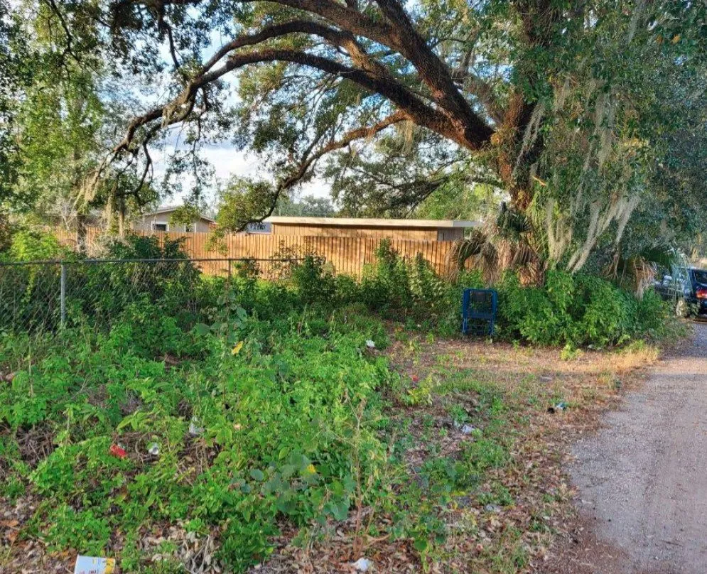 Top-rated outdoor landscaping with custom design across Orlando, FL - Daniels Company of Florida