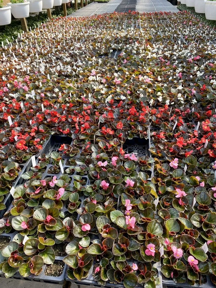 Top-rated lawn care service for homes across Saint Peters, MO - Daniel's Farm & Greenhouse