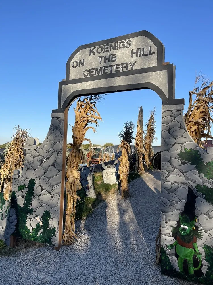 Professional yard cleanup service experts serving Saint Peters, MO - Daniel's Farm & Greenhouse