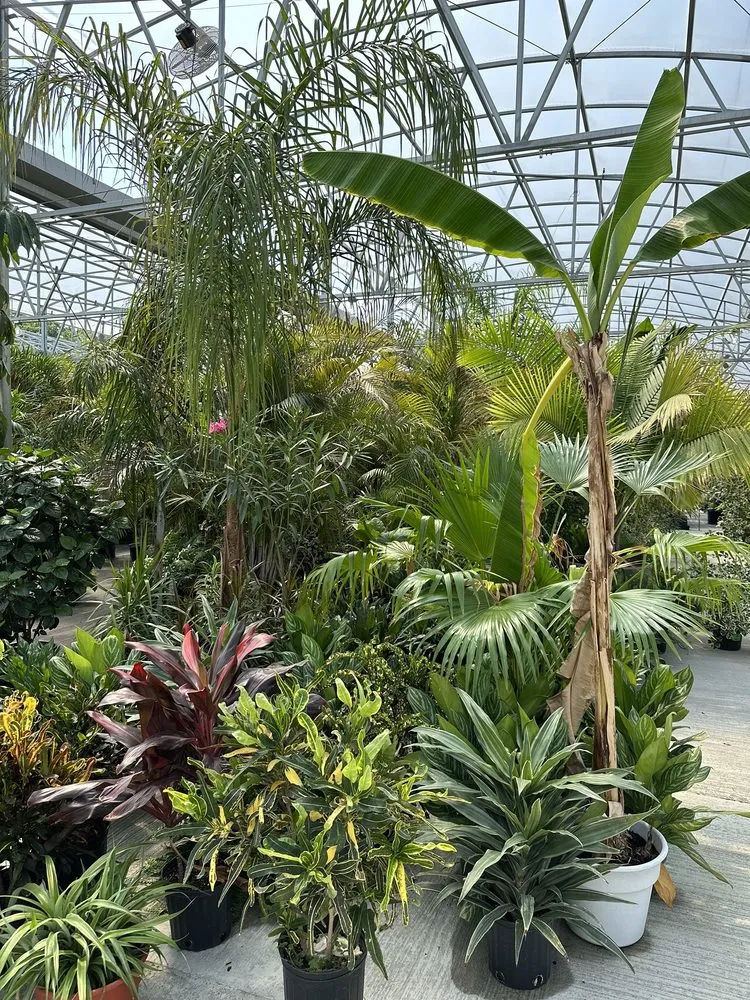 Affordable residential landscaping in Saint Peters, MO - Daniel's Farm & Greenhouse