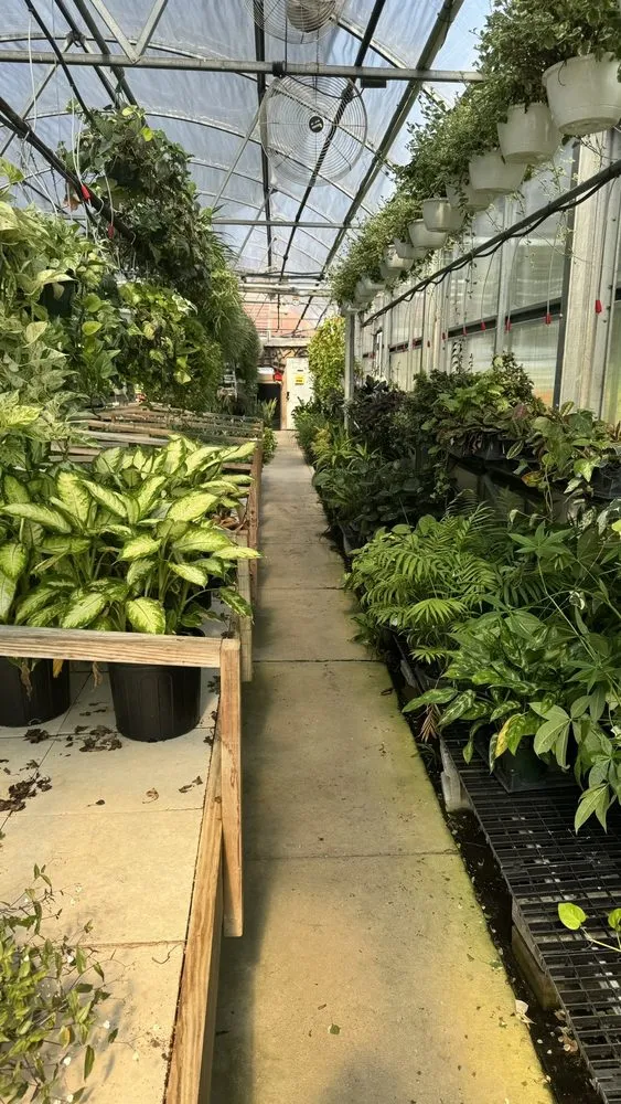 Reliable outdoor landscaping for beautiful yards in Saint Peters, MO by Daniel's Farm & Greenhouse