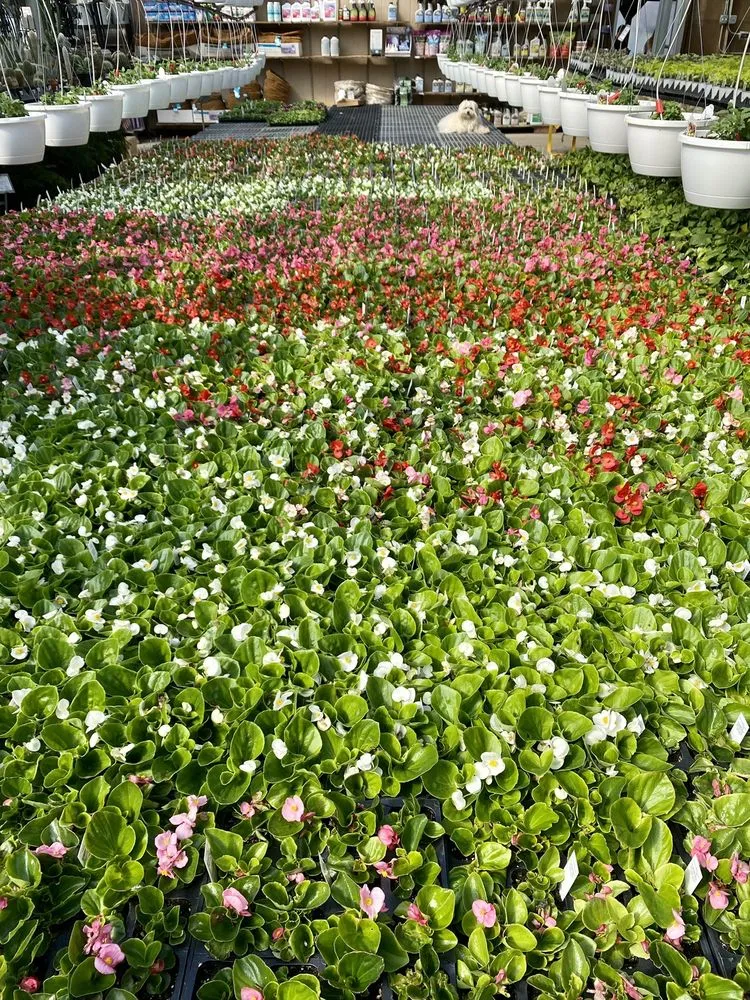 Top-rated garden landscaping in Saint Peters, MO by Daniel's Farm & Greenhouse