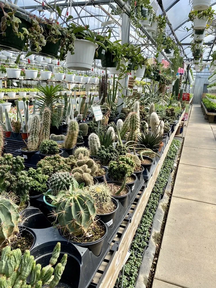 Top-rated yard cleanup service experts serving Saint Peters, MO - Daniel's Farm & Greenhouse