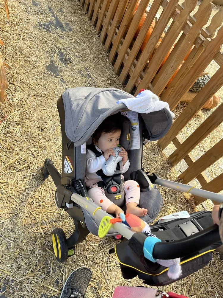 Trusted landscape design experts serving Saint Peters, MO - Daniel's Farm & Greenhouse