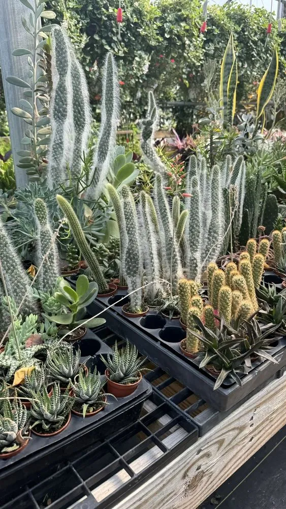 Trusted landscaping services experts serving Saint Peters, MO - Daniel's Farm & Greenhouse