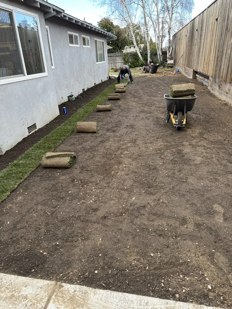 Expert lawn mowing service in Ceres, CA by Daniel’s Gardening and Landscape