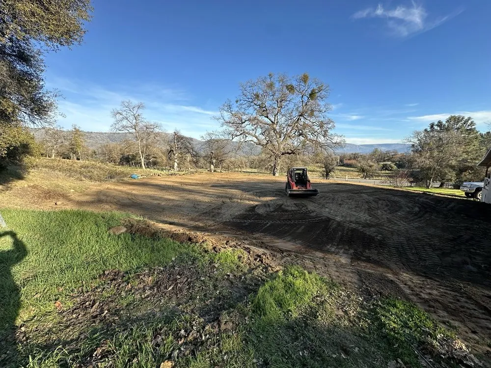 Trusted lawn care service in Clovis, CA - Daniel’s Land Service