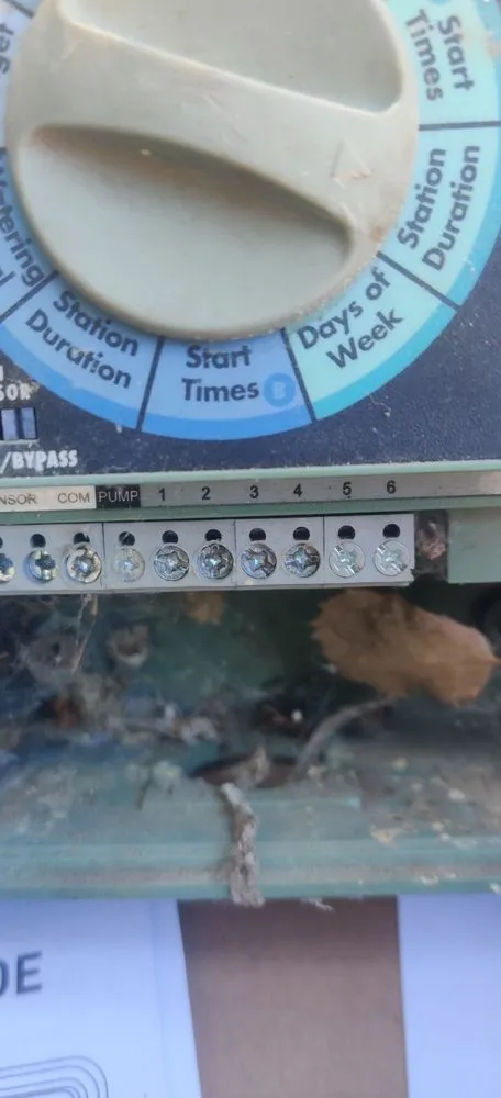 Expert landscaping services in Ontario, CA by Daniel's Landscape & Tree Service