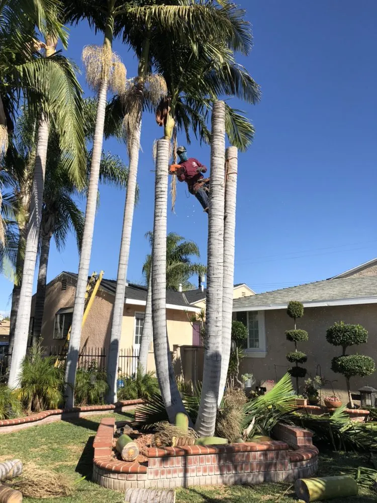 Local garden landscaping for beautiful yards in Ontario, CA by Daniel's Landscape & Tree Service