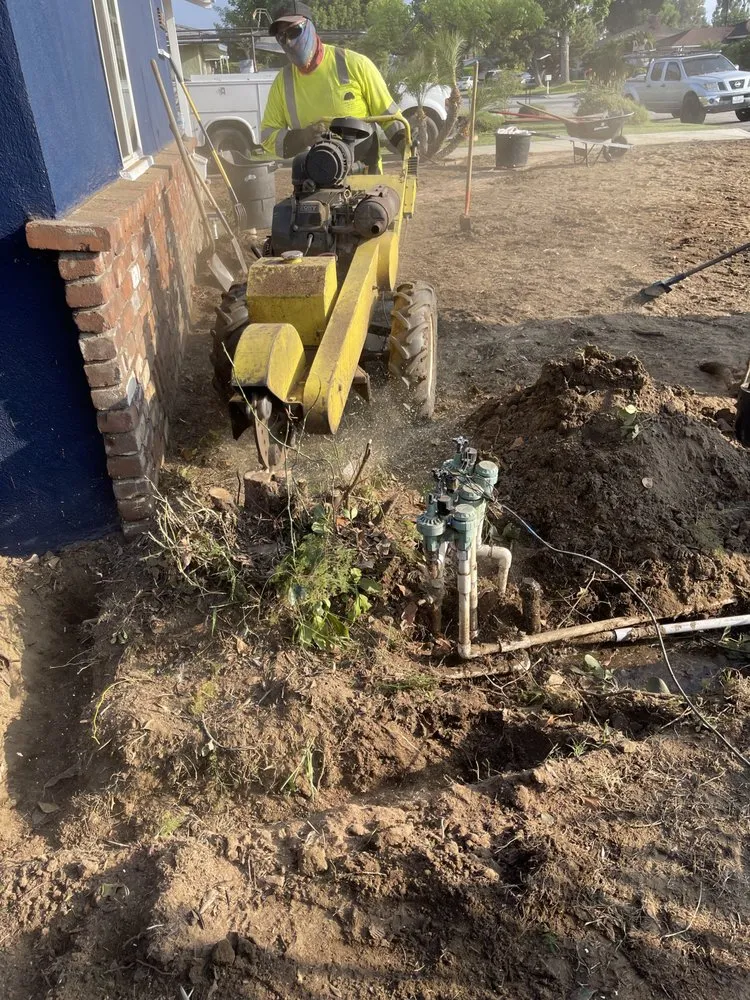 Custom yard cleanup service with custom design in Ontario, CA by Daniel's Landscape & Tree Service