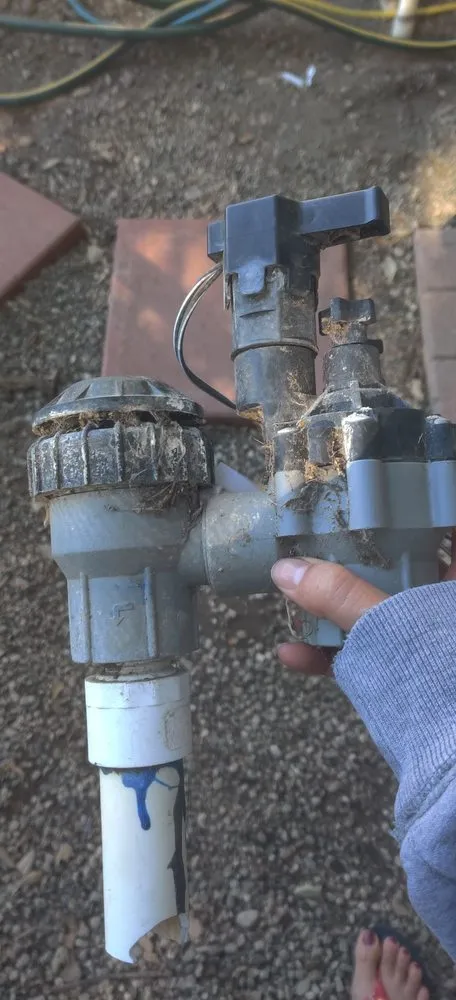 Trusted outdoor landscaping in Ontario, CA by Daniel's Landscape & Tree Service