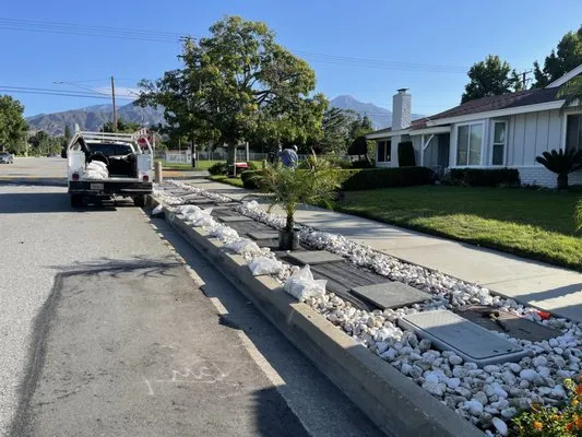 Daniel's Landscape & Tree Service Logo