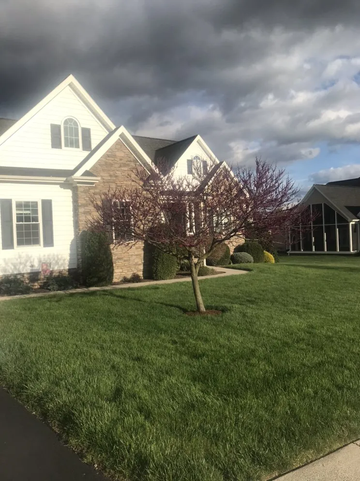 Professional yard maintenance in Harrisonburg, VA - Daniel's Landscape