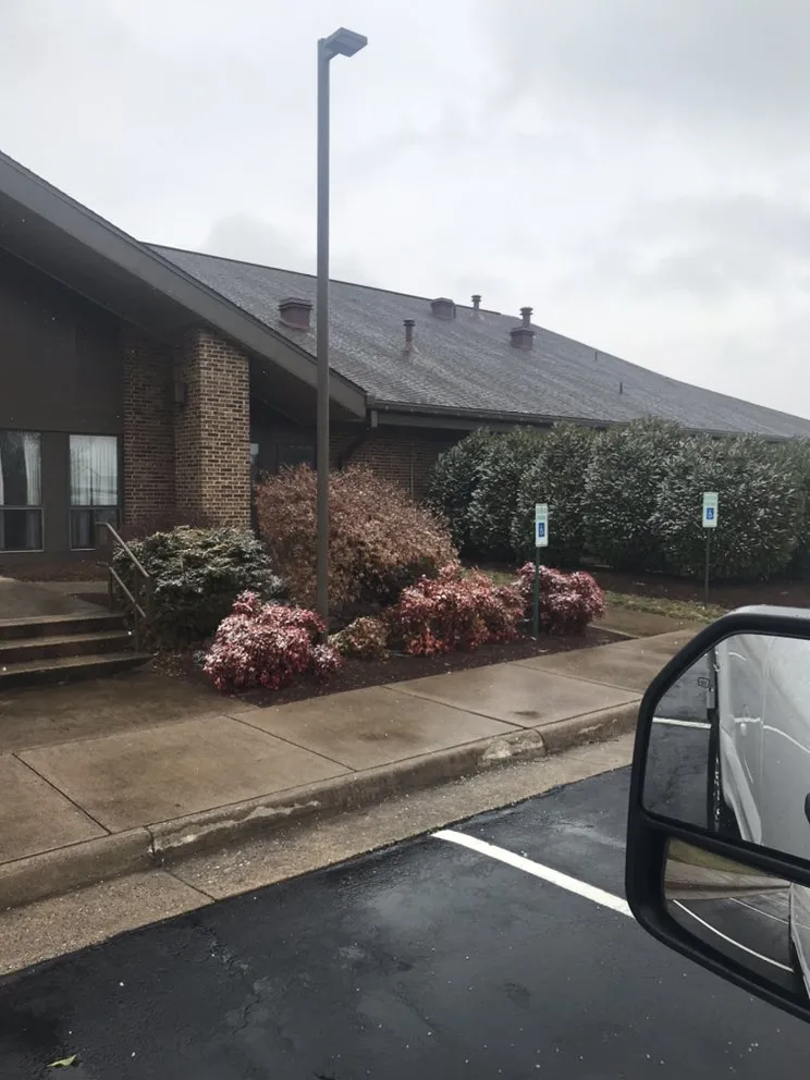 Reliable yard cleanup service for year-round maintenance across Harrisonburg, VA - Daniel's Landscape