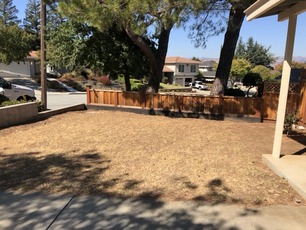 Expert landscape installation for homes across Holliste, CA - Daniel's Landscape