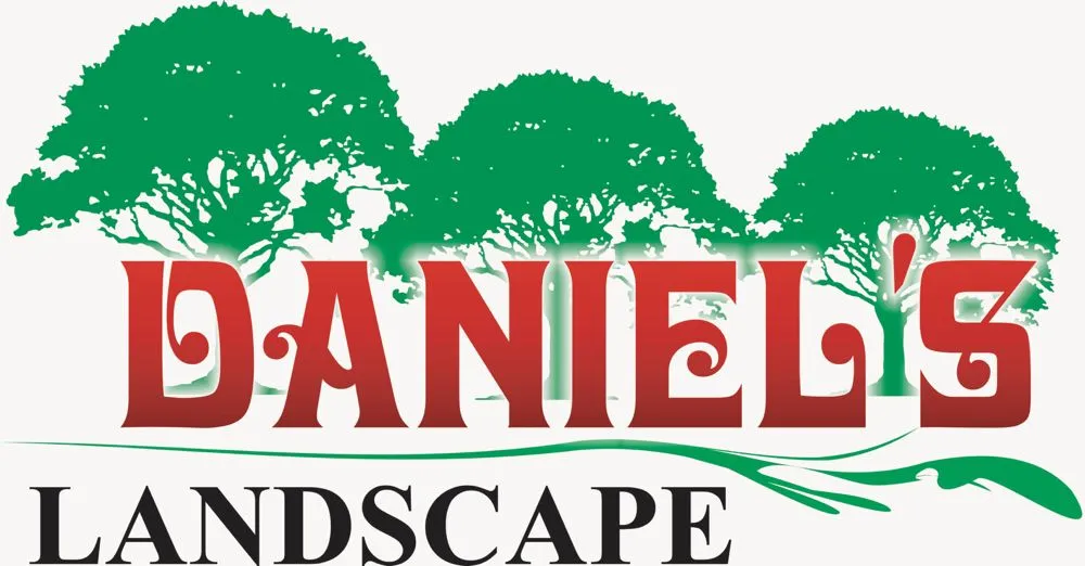 Affordable yard cleanup service for residential properties in Holliste, CA by Daniel's Landscape