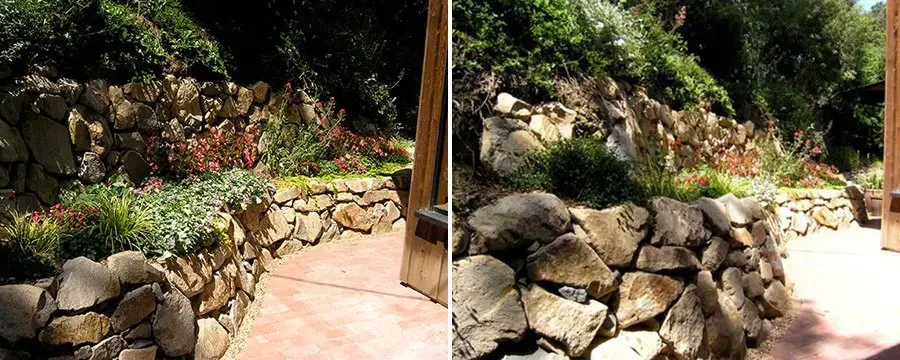 Local landscape design in San Marcos, CA by Daniels Landscape