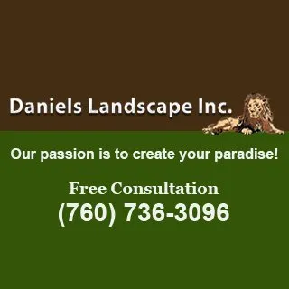 Professional outdoor landscaping in San Marcos, CA - Daniels Landscape
