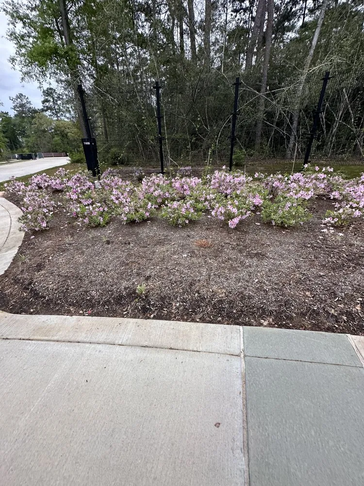 Top-rated landscaping services in Magnolia, TX by Daniel’s Landscaping and Irrigation