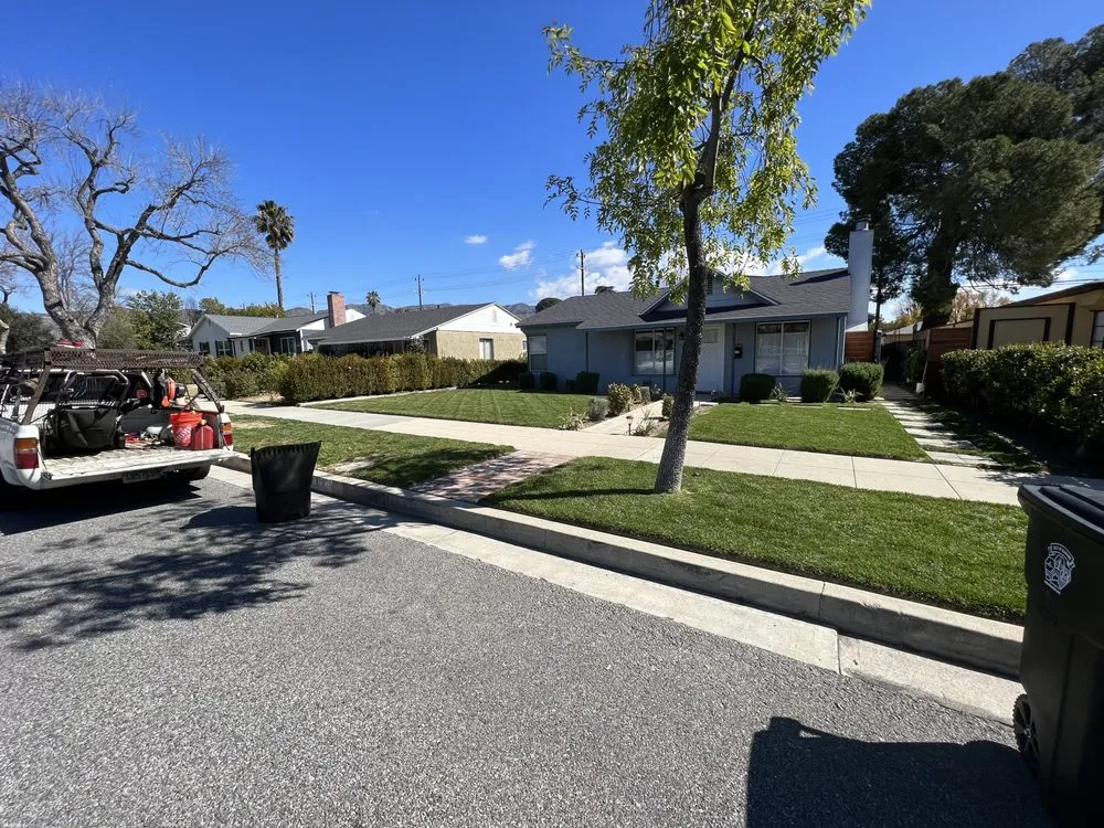 Professional yard cleanup service with custom design across San Fernando, CA - Daniel’s Landscaping and Tree Services
