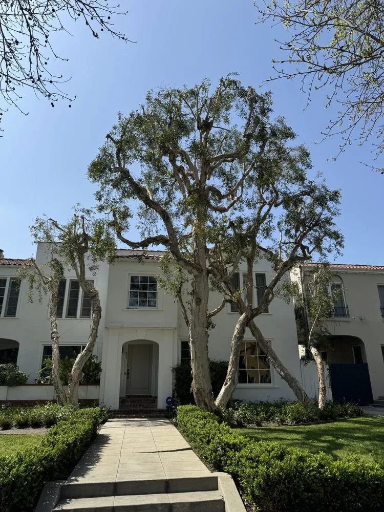 Expert landscape design experts serving San Fernando, CA - Daniel’s Landscaping and Tree Services