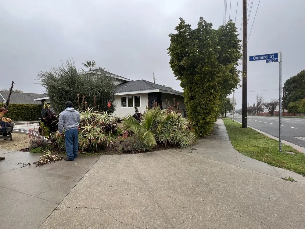 Affordable yard cleanup service in San Fernando, CA - Daniel’s Landscaping and Tree Services