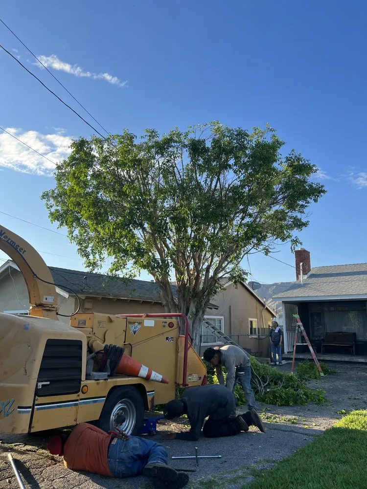 Trusted landscape design in San Fernando, CA - Daniel’s Landscaping and Tree Services