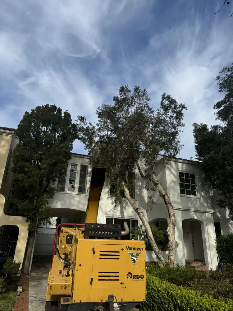 Affordable landscape design in San Fernando, CA by Daniel’s Landscaping and Tree Services