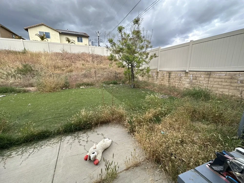 Custom lawn mowing service in San Fernando, CA - Daniel’s Landscaping and Tree Services