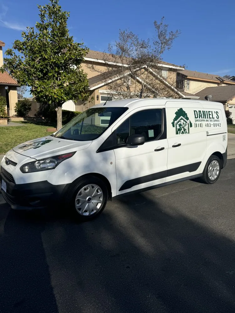Trusted yard cleanup service in San Fernando, CA - Daniel’s Landscaping and Tree Services