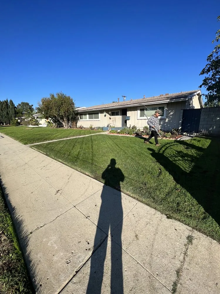 Local yard maintenance for beautiful yards in San Fernando, CA by Daniel’s Landscaping and Tree Services