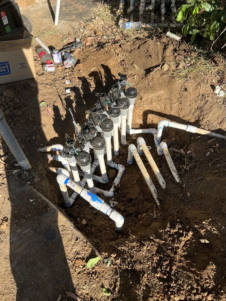 Expert landscaping services for outdoor upgrades across San Fernando, CA - Daniel’s Landscaping and Tree Services