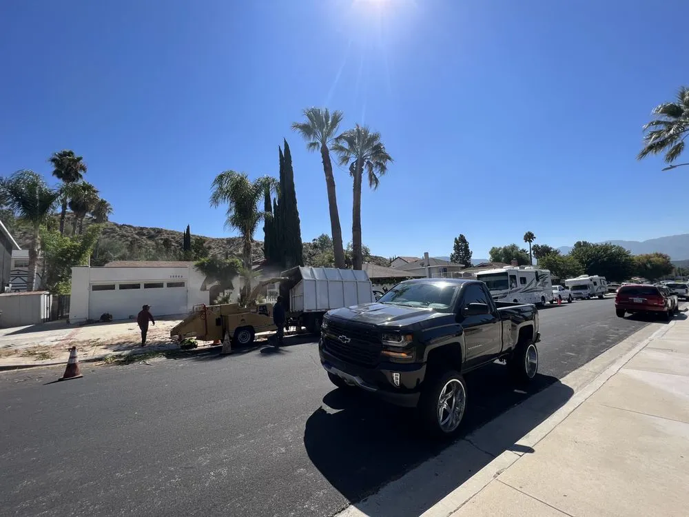 Custom yard cleanup service for beautiful yards across San Fernando, CA - Daniel’s Landscaping and Tree Services