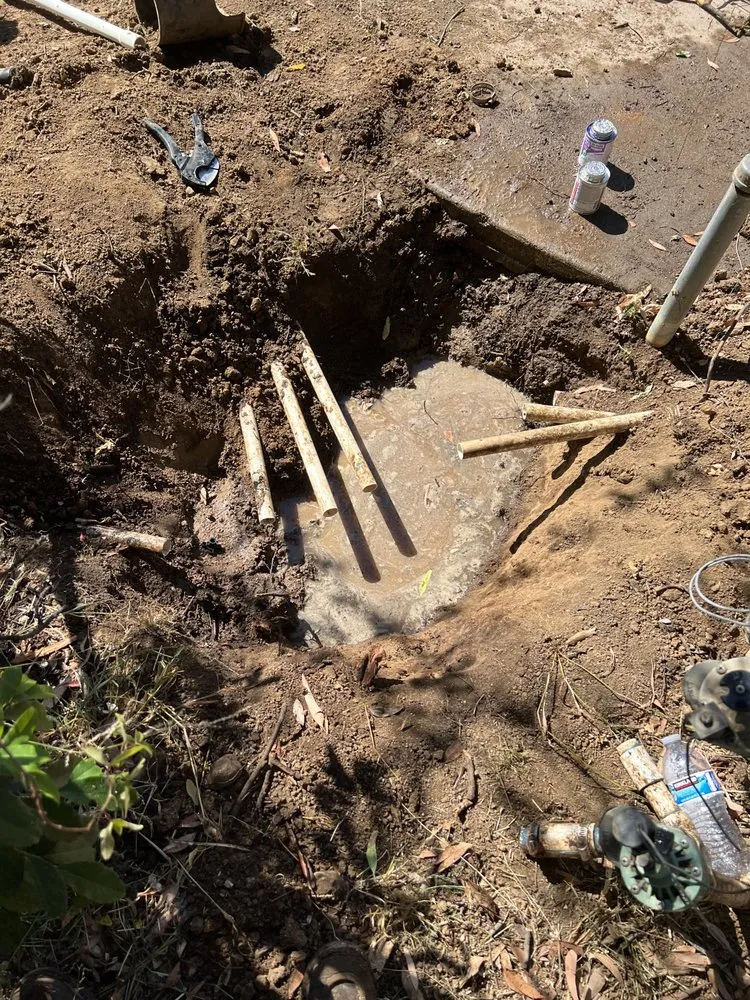 Local yard maintenance for homes across San Fernando, CA - Daniel’s Landscaping and Tree Services