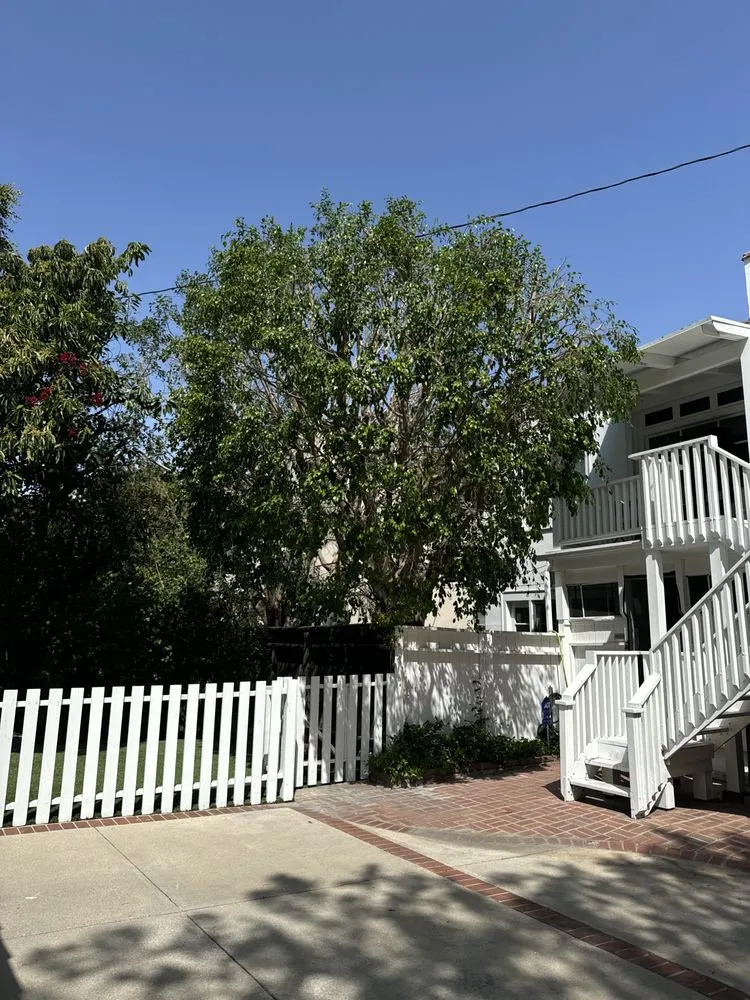 Custom yard cleanup service experts serving San Fernando, CA - Daniel’s Landscaping and Tree Services