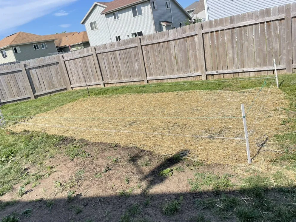 Affordable outdoor landscaping in Campbellsport, WI by Daniel's Landscaping