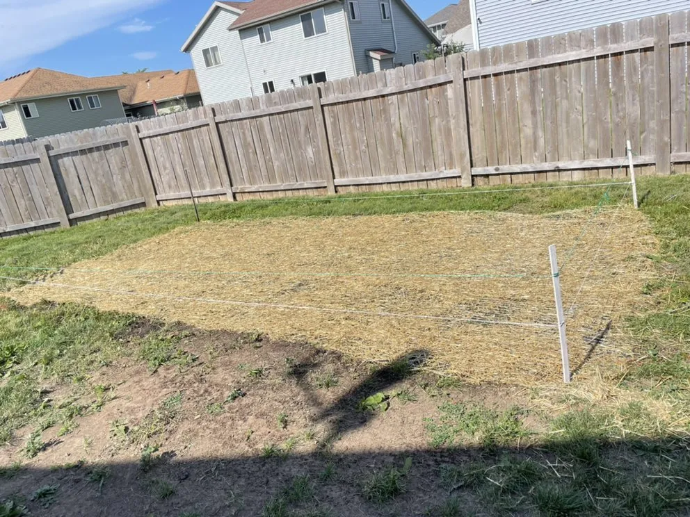 Expert landscape installation experts serving Campbellsport, WI - Daniel's Landscaping