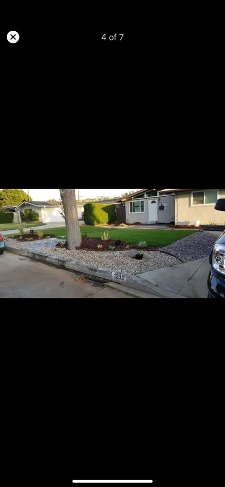 Reliable yard cleanup service in La Costa, CA - Daniel's Landscaping